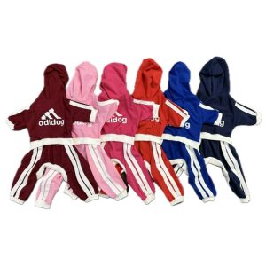 سرهمی ورزشی سگ