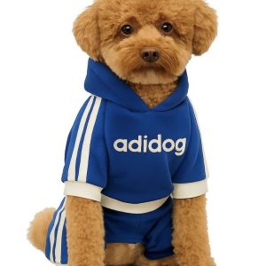 لباس ورزشی سگ رنگ آبی adidog